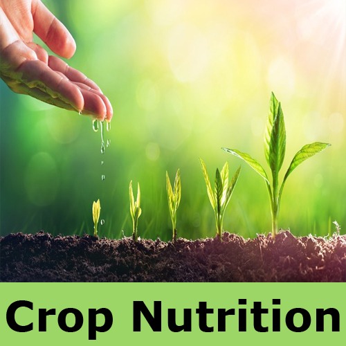 Crop Nutrition