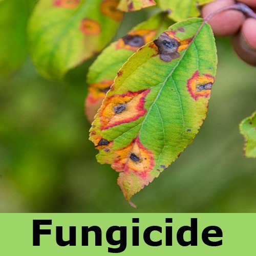 Fungicides