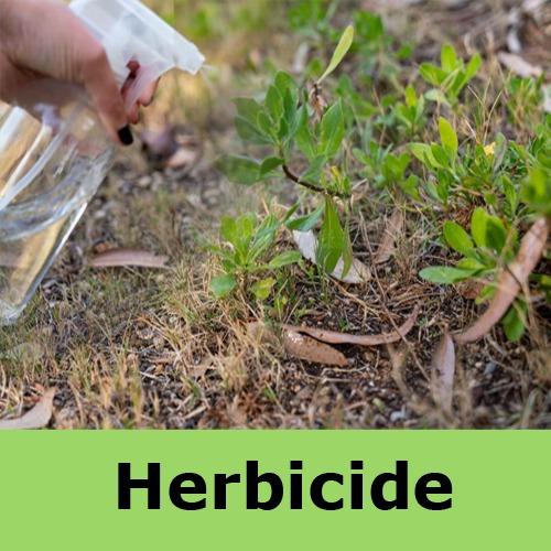 Herbicides