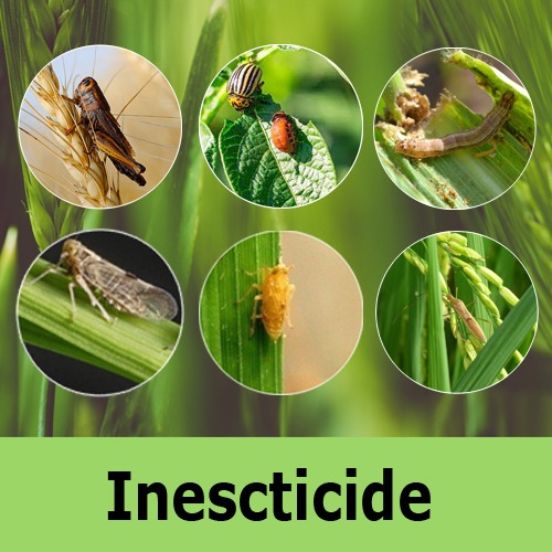 Insecticides